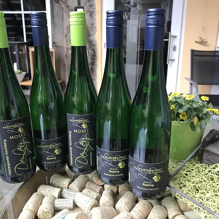 Appartamento Bio-ferienweingut Leyendecker Kattenes